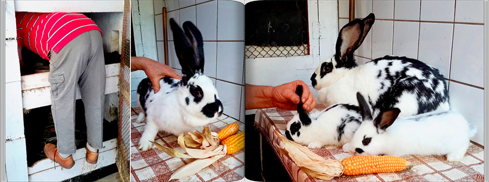 fotobuch-hänschen_007